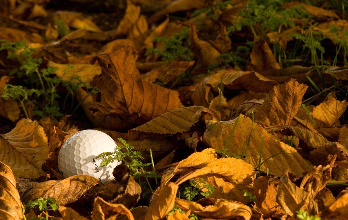Embracing Fall Golf