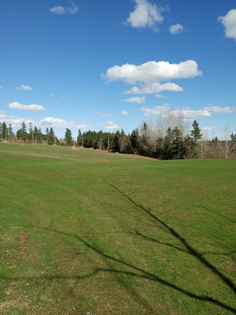 IMG_20240422_160202880