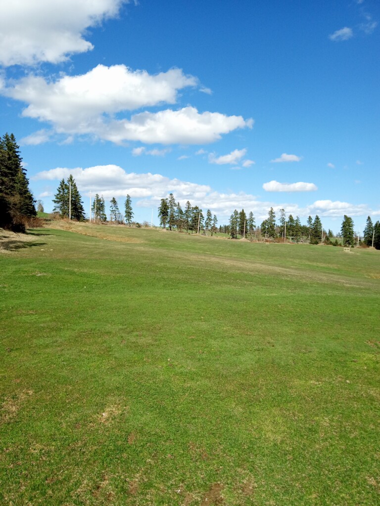 IMG_20240422_160216887 (1)